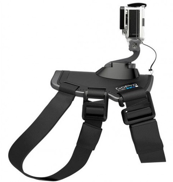 GoPro Fetch (ADOGM-001)