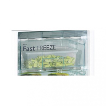 Snaige RF58SM-S5MP2E