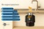 In-Sink-Erator Premium 550