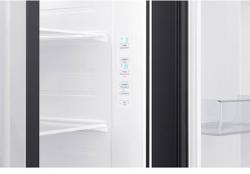 Samsung RS65R5441B4