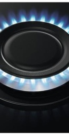 Zanussi ZGO68410BA