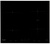Whirlpool ACM 932/BF