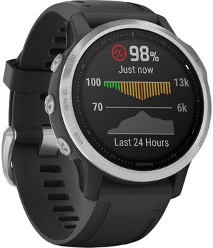 Garmin Fenix 6S Silver (010-02159-01)