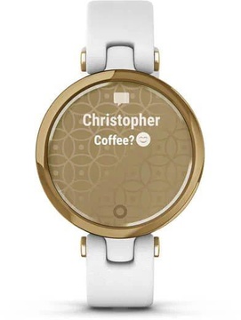 Garmin Lily Light Gold Bezel with White Case and Italian Leather Band (010-02384-B3)