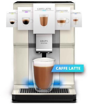 Krups Intuition Preference EA872A10