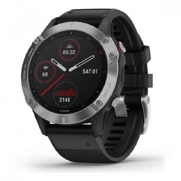 Garmin Fenix 6 Silver (010-02158-00)