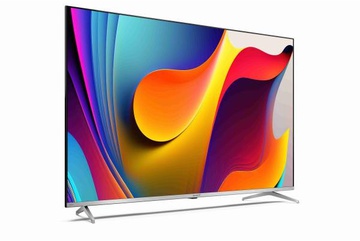 Sharp 4T-C55FP1EL2AB