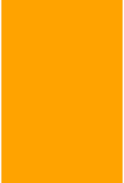 Savage Widetone Marmalade 2.72m x 11m
