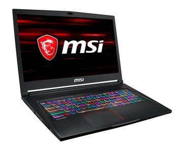 MSI GS73 Stealth 8RF (GS738RF-016US)