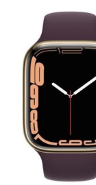 Apple Watch Series 7 GPS + Cellular 45mm Gold Stainless Steel Case with Dark Cherry Sport Band (MKJF3, MKJX3)