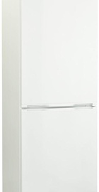 Snaige RF53SM-P5002
