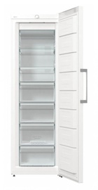 Gorenje FN619EEW5