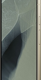 Google Pixel 11 Pro XL 12/256GB Olive