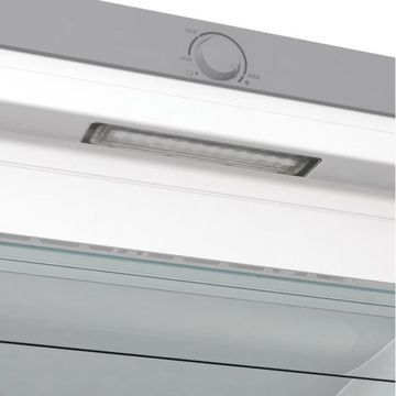 Gorenje FN619EES5