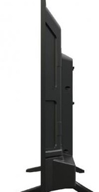 Manta LED3204