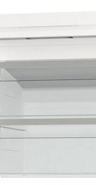 Gorenje FNP619EAW6L