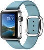 Apple Watch 38mm Stainless Steel Case with Blue Jay Modern Buckle (MMFC2)