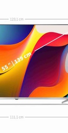 Sharp 4T-C55FP1EL2AB