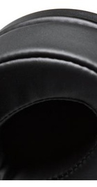 Sennheiser HD 300