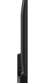 TCL 58V6B