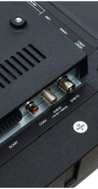 Vinga L32HD25B