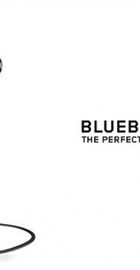 JayBird BlueBuds X Midnight Black