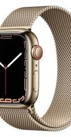 Apple Watch Series 7 GPS + Cellular 41mm Gold Stainless Steel Case with Gold Milanese Loop (MKHH3, MKJ03)