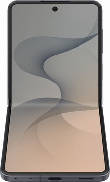 Samsung Galaxy Flip8 12/256GB Graphite (SM-F776BZKG)