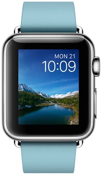 Apple Watch 38mm Stainless Steel Case with Blue Jay Modern Buckle (MMF92)
