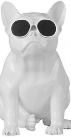 Jarre AeroBull XS1 White