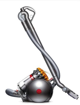 Dyson Big Ball Allergy 2