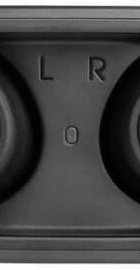 JBLW100TWSBLK)