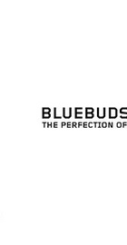 JayBird BlueBuds X Storm White