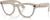 Ray-Ban Meta Skyler Standard - Shiny Chalky Gray / Clear Sapphire Transition (RW4010 6700MF 52-20)