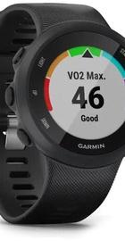 Garmin Forerunner 45s Black (010-02156-12/02)