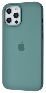 Apple iPhone 13 Pro Silicone Case Pine Green (high copy)