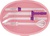 Sencor SOI 2201RS
