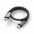 Satechi USB-C to USB-C 100W Space Gray 0.25m (ST-TCC10M)