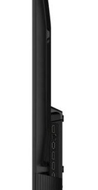 TCL 43S51K