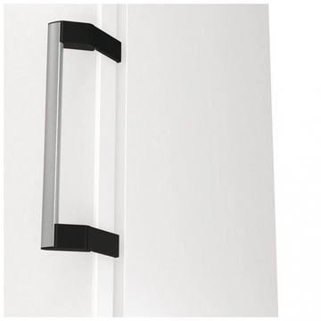 Gorenje FNP619EAW6L