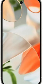Google Pixel 9 12/256GB Porcelain