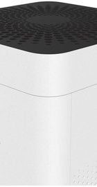 Boneco H300