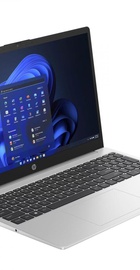 HP 255 G10 Turbo Silver (816F6EA)