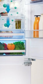 Gorenje RI2181A1