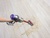 Dyson Outsize Absolute