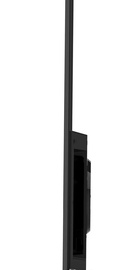 TCL 55C815