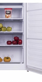 Beko RFNE290L21W