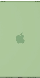 Apple Silicone Case for 9.7-inch iPad Pro Mint (MMG42)