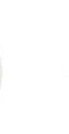 JBL Tune Buds 2 White (JBLTBUDS2WHT)