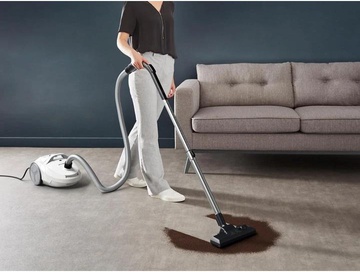 Rowenta Compact Power RO3927EA